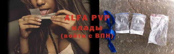 прущие грибы Вяземский