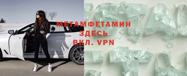 прущие грибы Вяземский