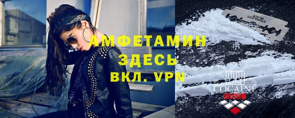 прущие грибы Вяземский