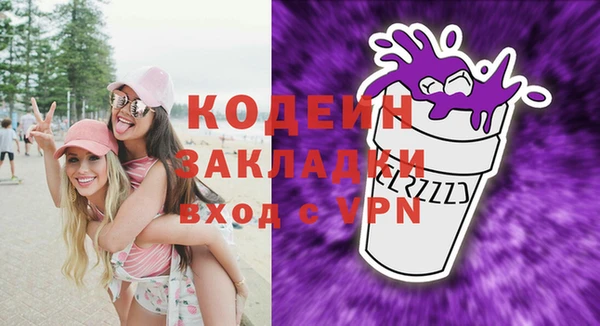 прущие грибы Вяземский