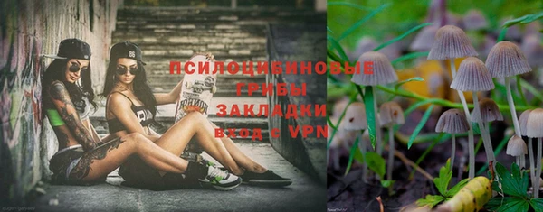 a pvp Вязники