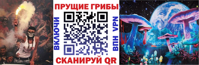 Псилоцибиновые грибы Magic Shrooms где можно купить Данилов