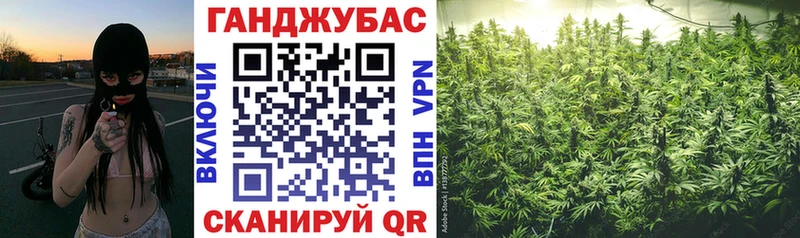 Шишки марихуана планчик Данилов